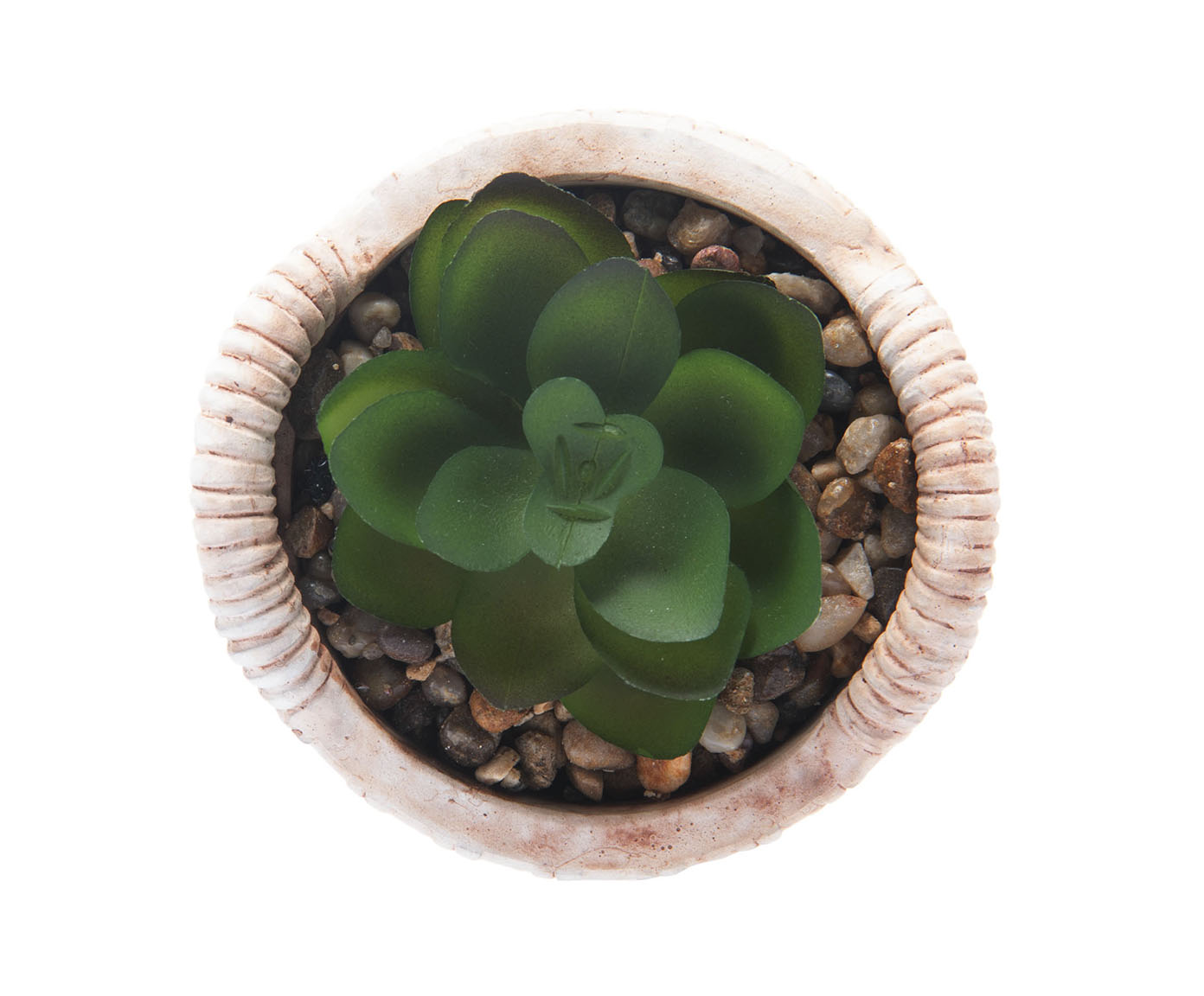 Cachepot de Cer&acirc;mica com Suculenta Palha - image 1