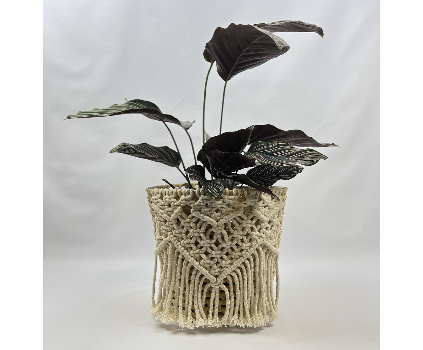 Cachepot Hygge - image 1