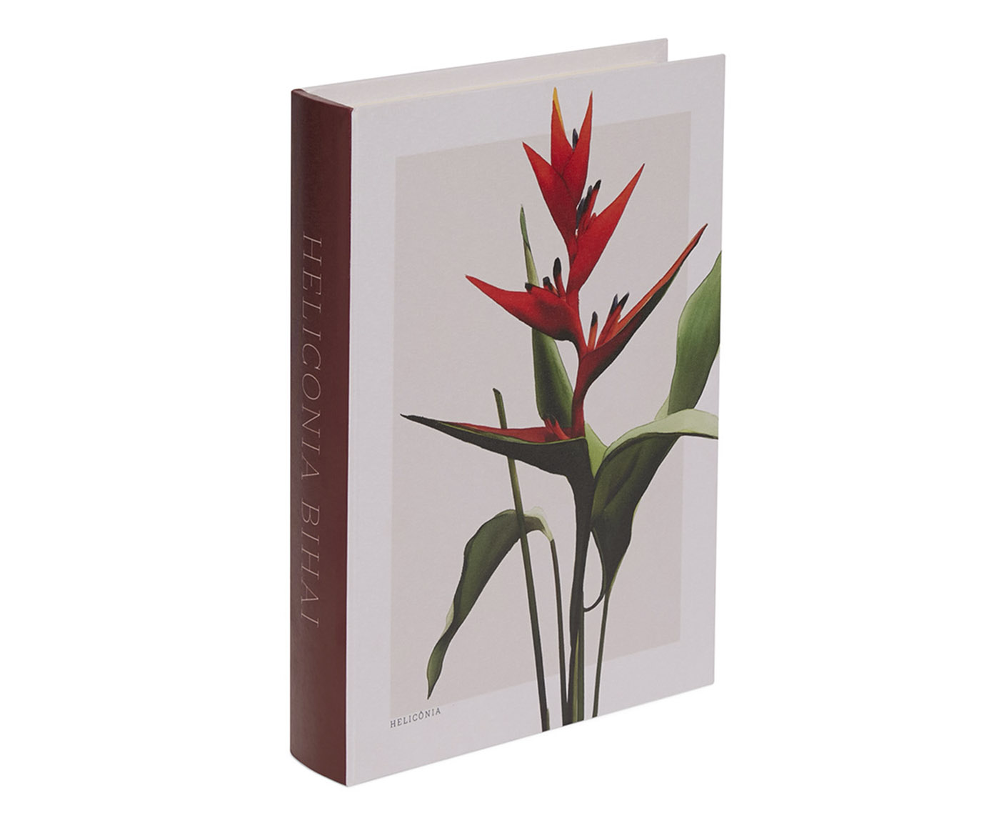 Jogo de Livros-Caixa Uller - image 1