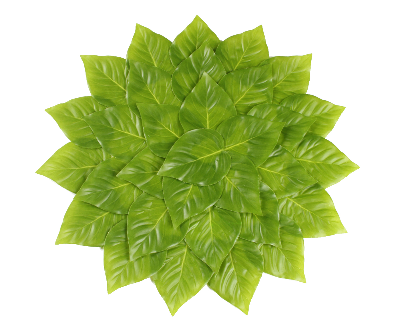 Lugar Americano Amaro - Verde - image 0