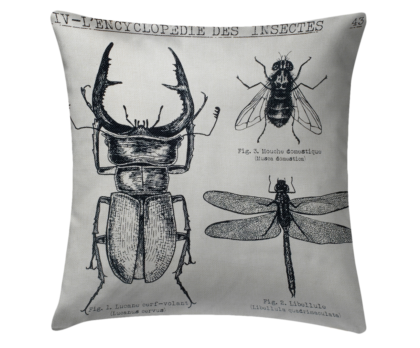 Capa de Almofada Insetos II - image 0