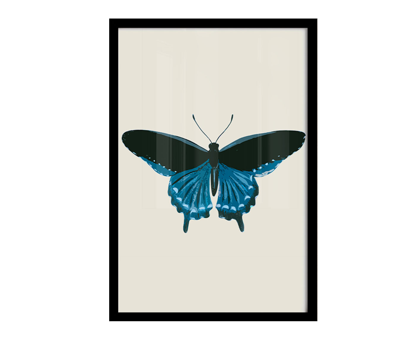 Quadro Borboleta Azul com Moldura Preta - image 0