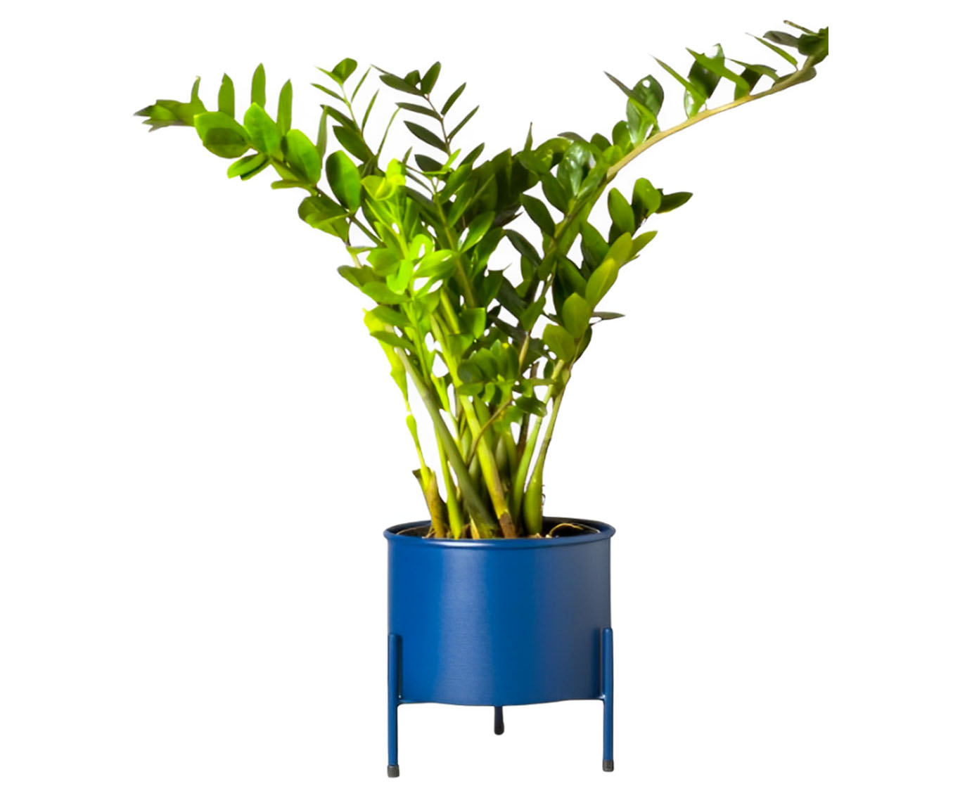 Suporte de Plantas com Vaso Slim Humait&aacute; Azul - image 0