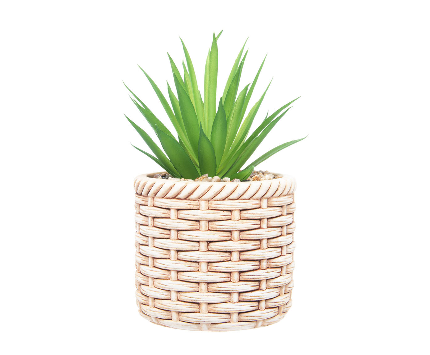 Cachepot de Cer&acirc;mica com Suculenta Rattan - image 1