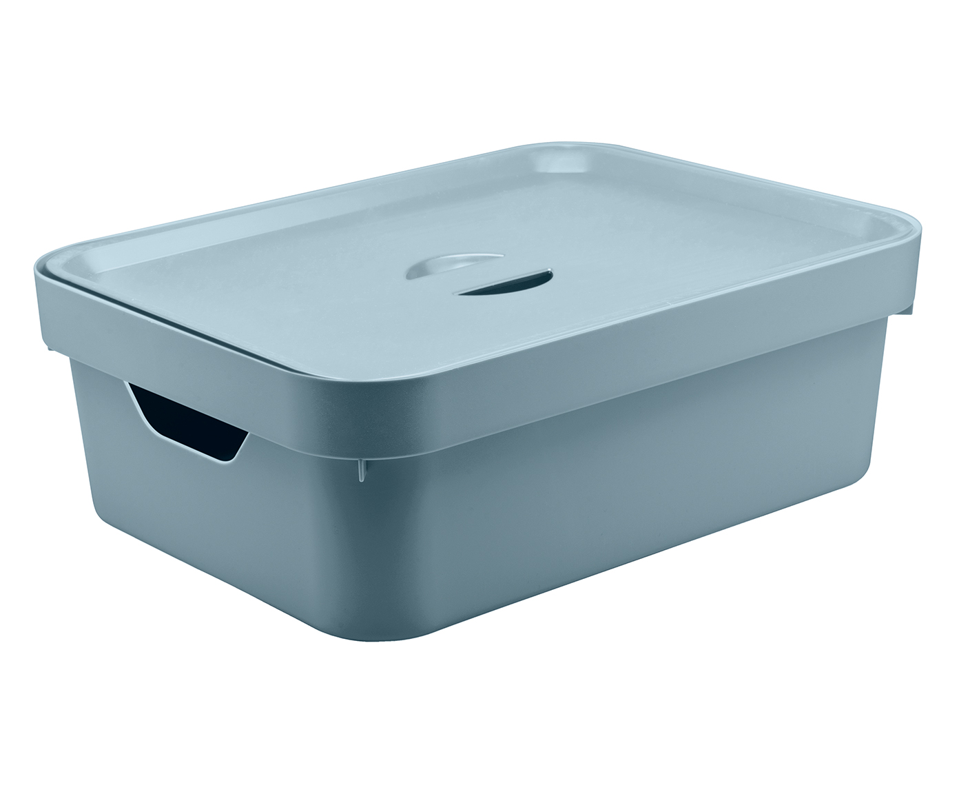 Caixa Organizadora Cyzarine - 10,5L - image 0
