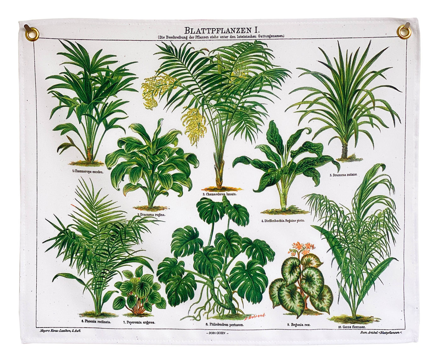 Bandeira Plantas de Folhagem - image 0