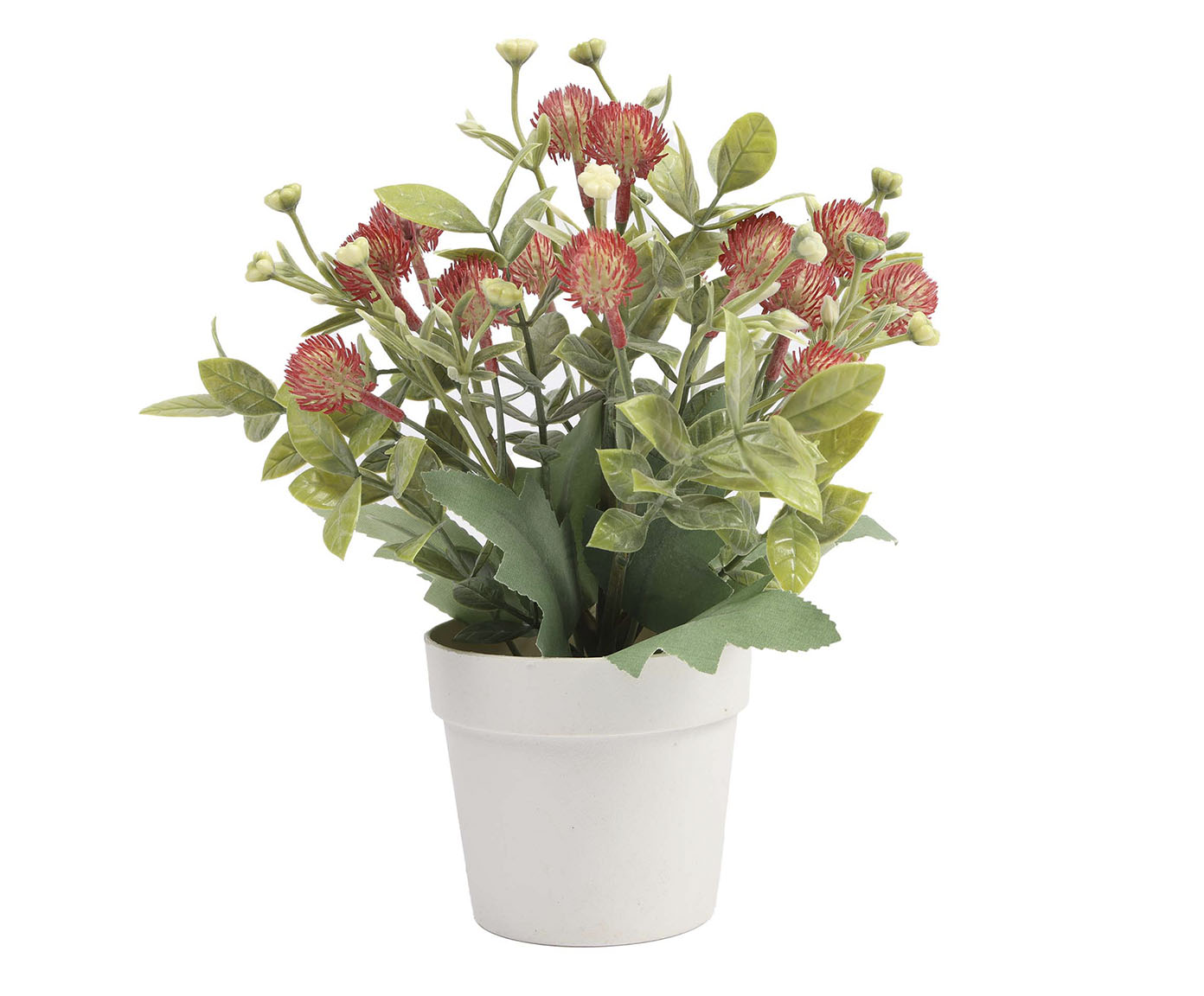 Vaso com Planta Flor My Garden Branco - image 0