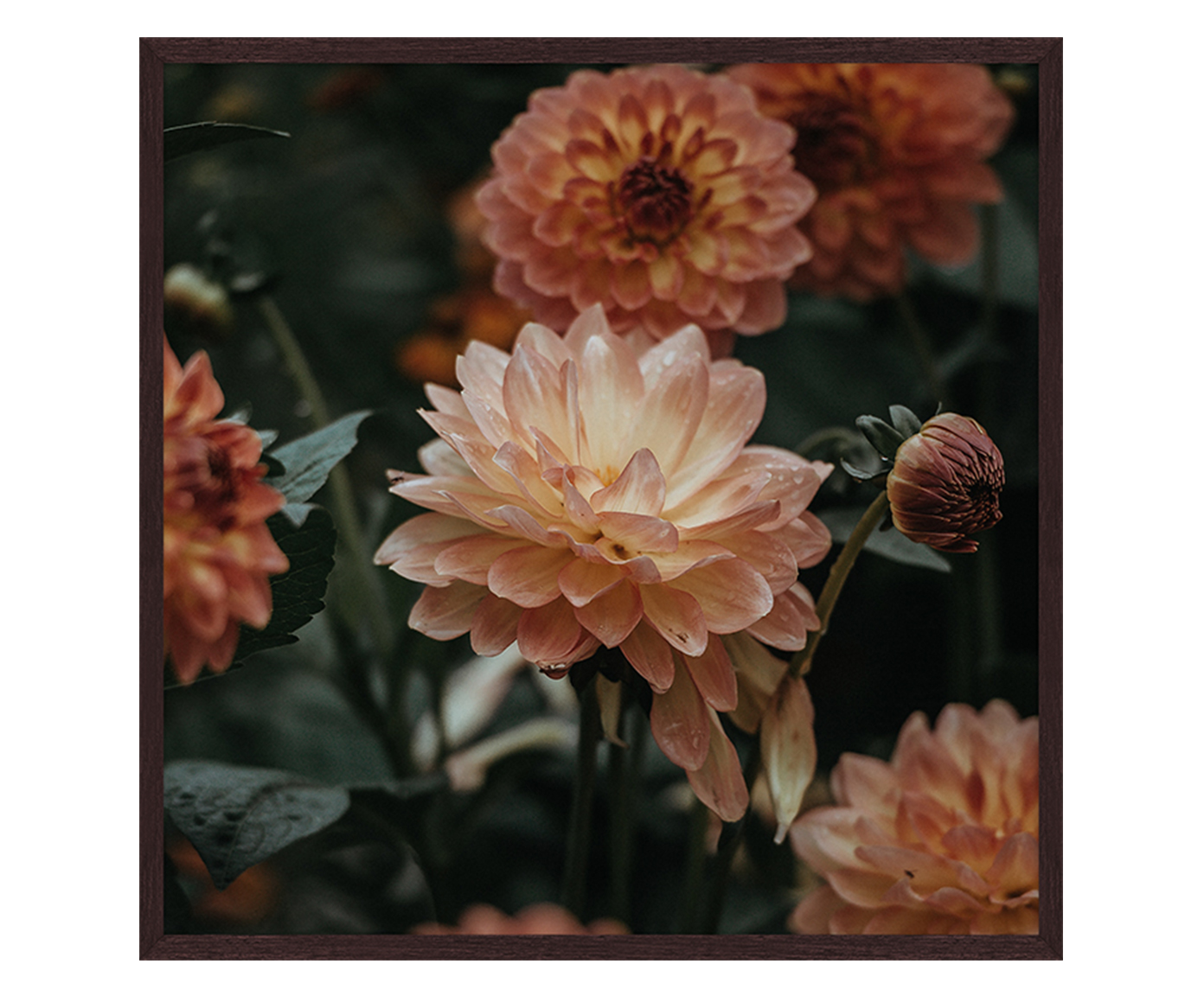 Quadro Artsy Percival - image 0