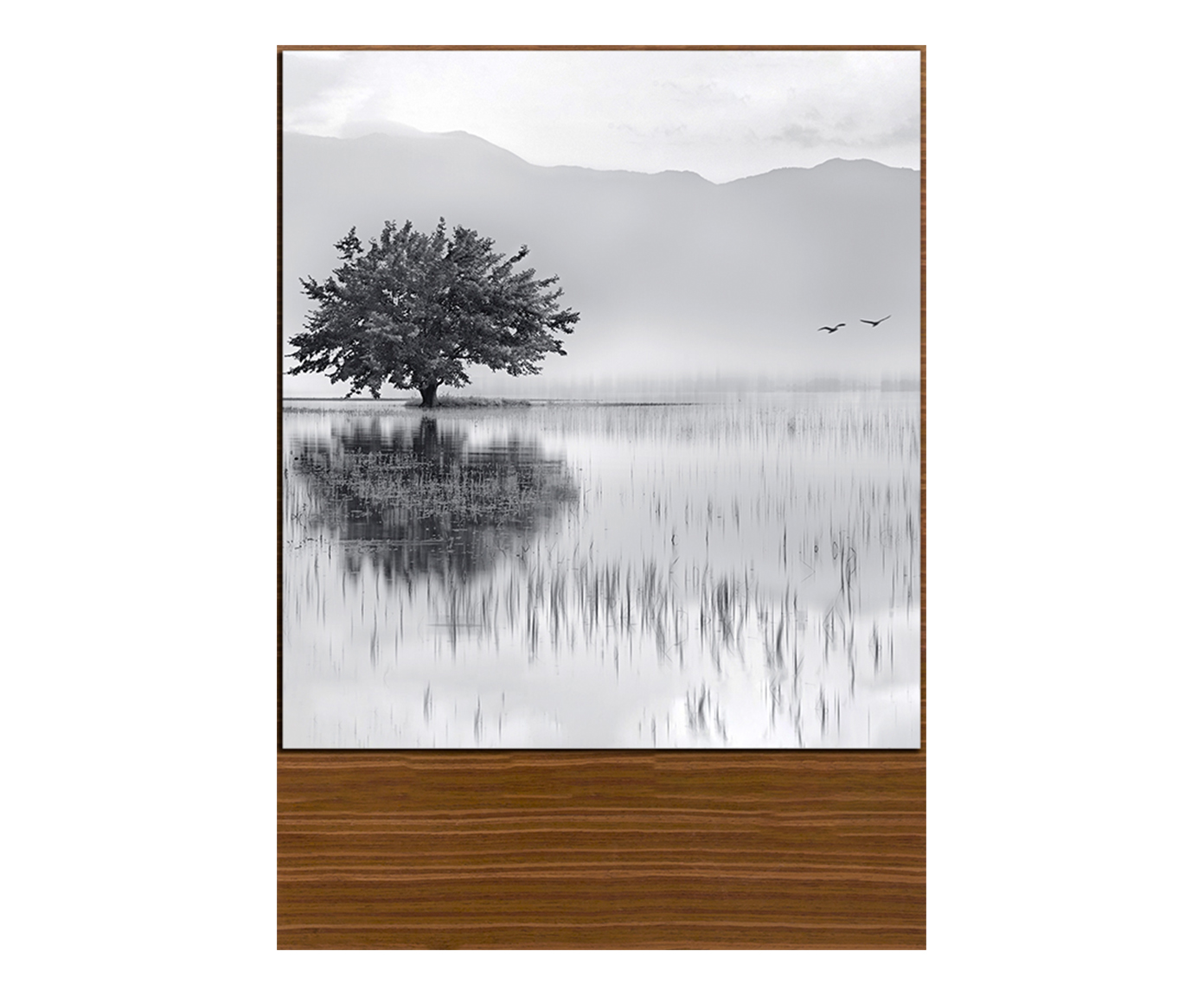 Quadro Nature White - image 0