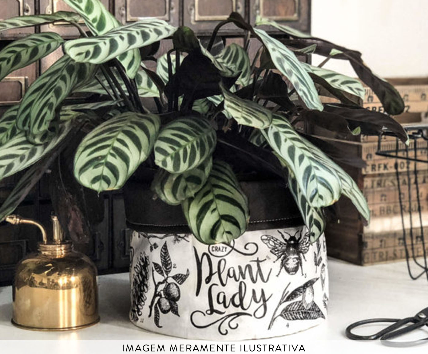 Cachepot Crazy Plant Lady Preto e Branco - image 1
