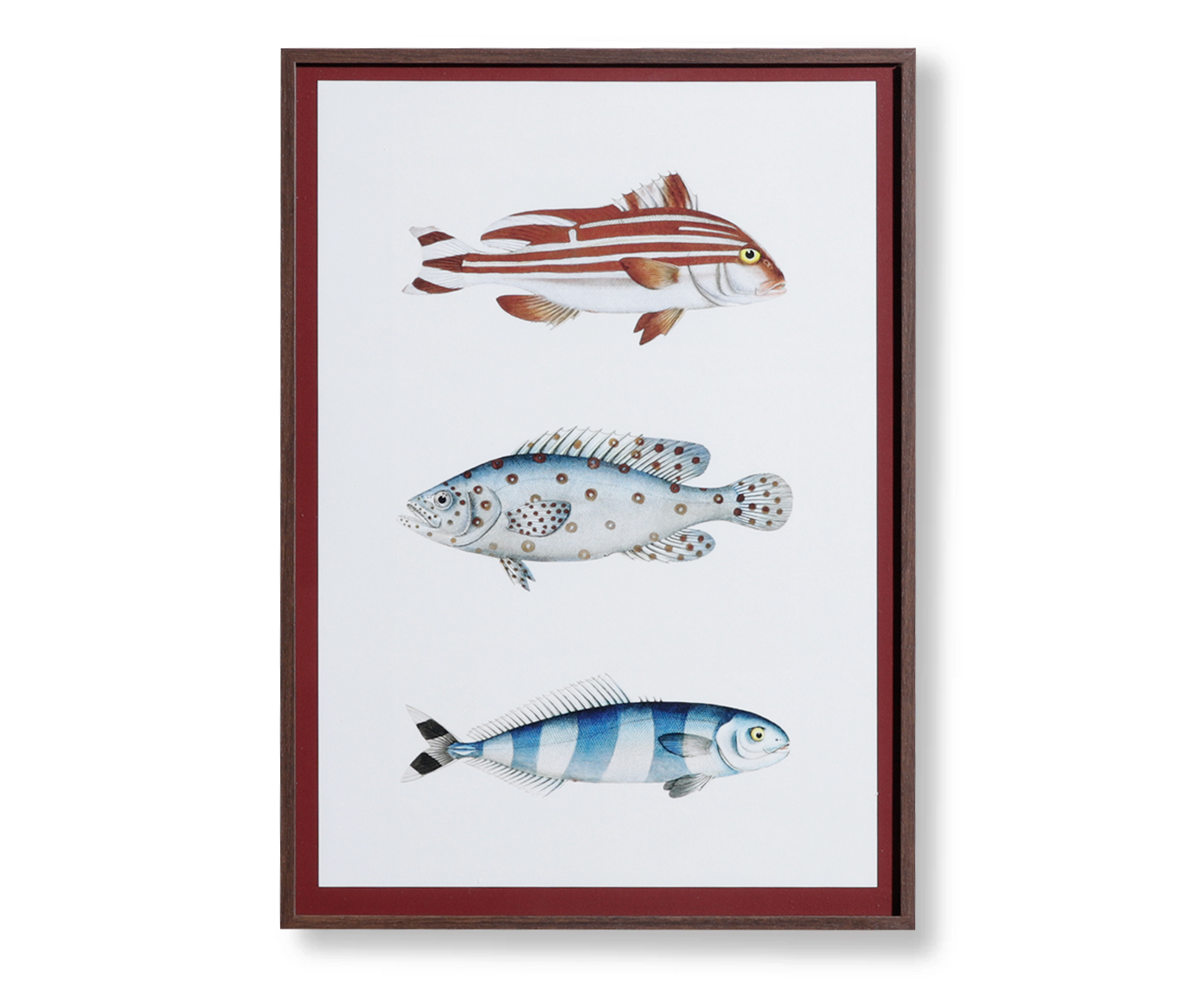 Quadro Decorativo Pescaria - image 0