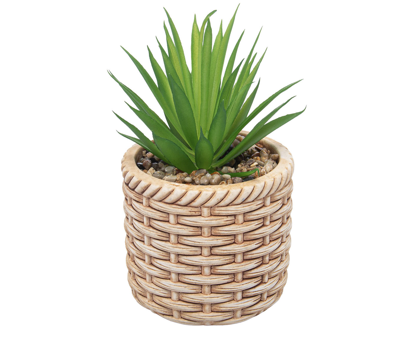 Cachepot de Cer&acirc;mica com Suculenta Rattan - image 0
