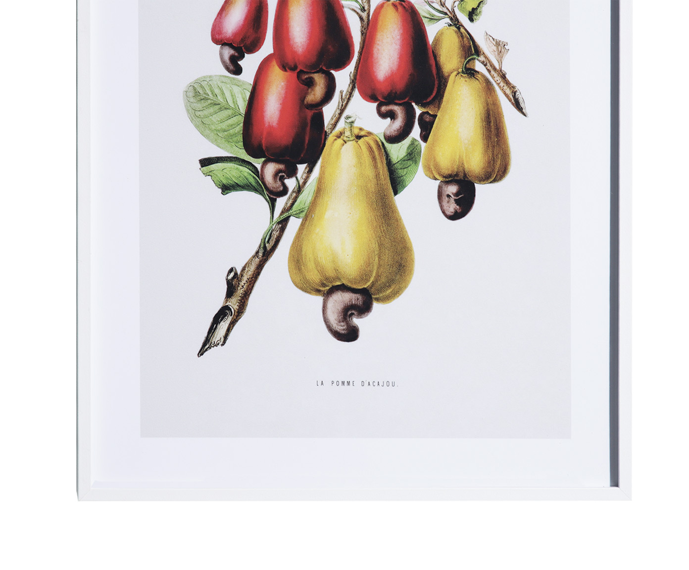 Quadro Decorativo Alceu image number 4