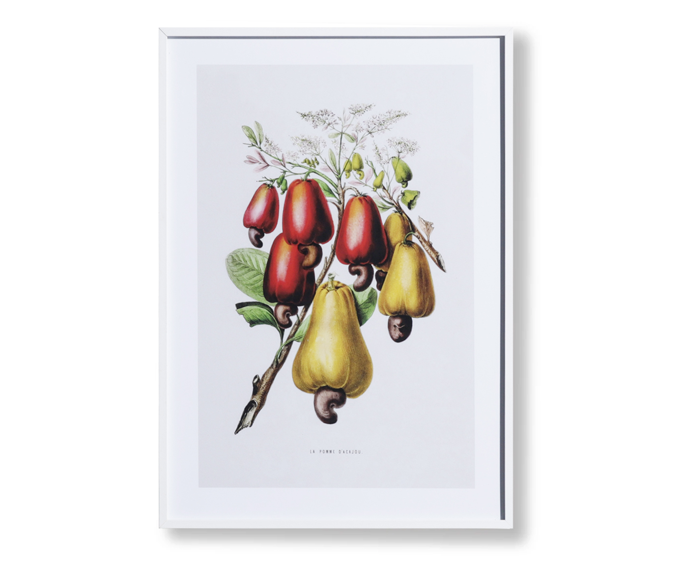 Quadro Decorativo Alceu - image 1