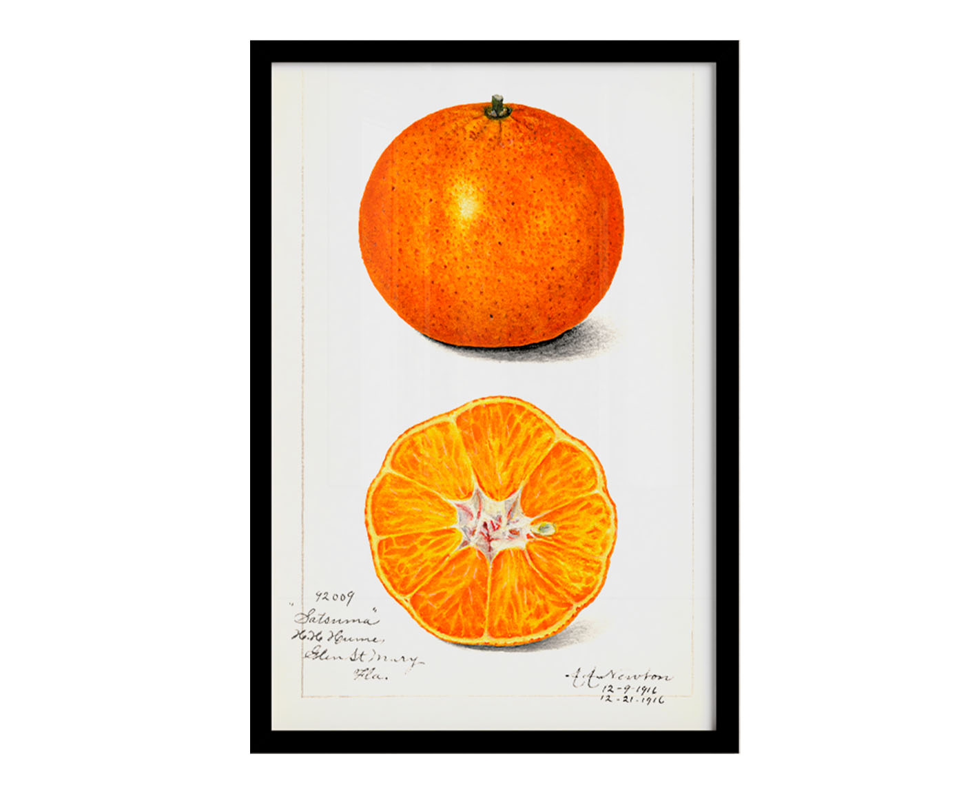 Quadro Laranja Vintage com Moldura Preta - image 1