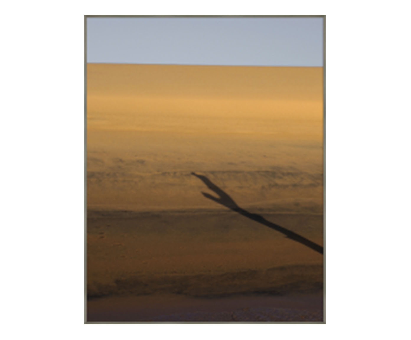 Quadro Sombra - Reinaldo Giarola - image 0