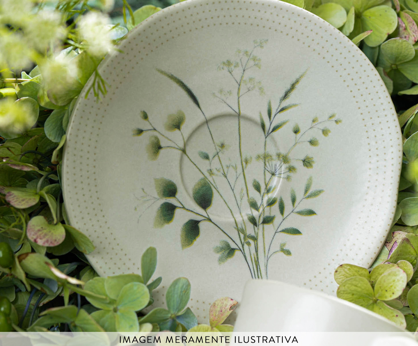 Jogo de X&iacute;caras para Caf&eacute; Org&acirc;nico Ammi Floral - image 1