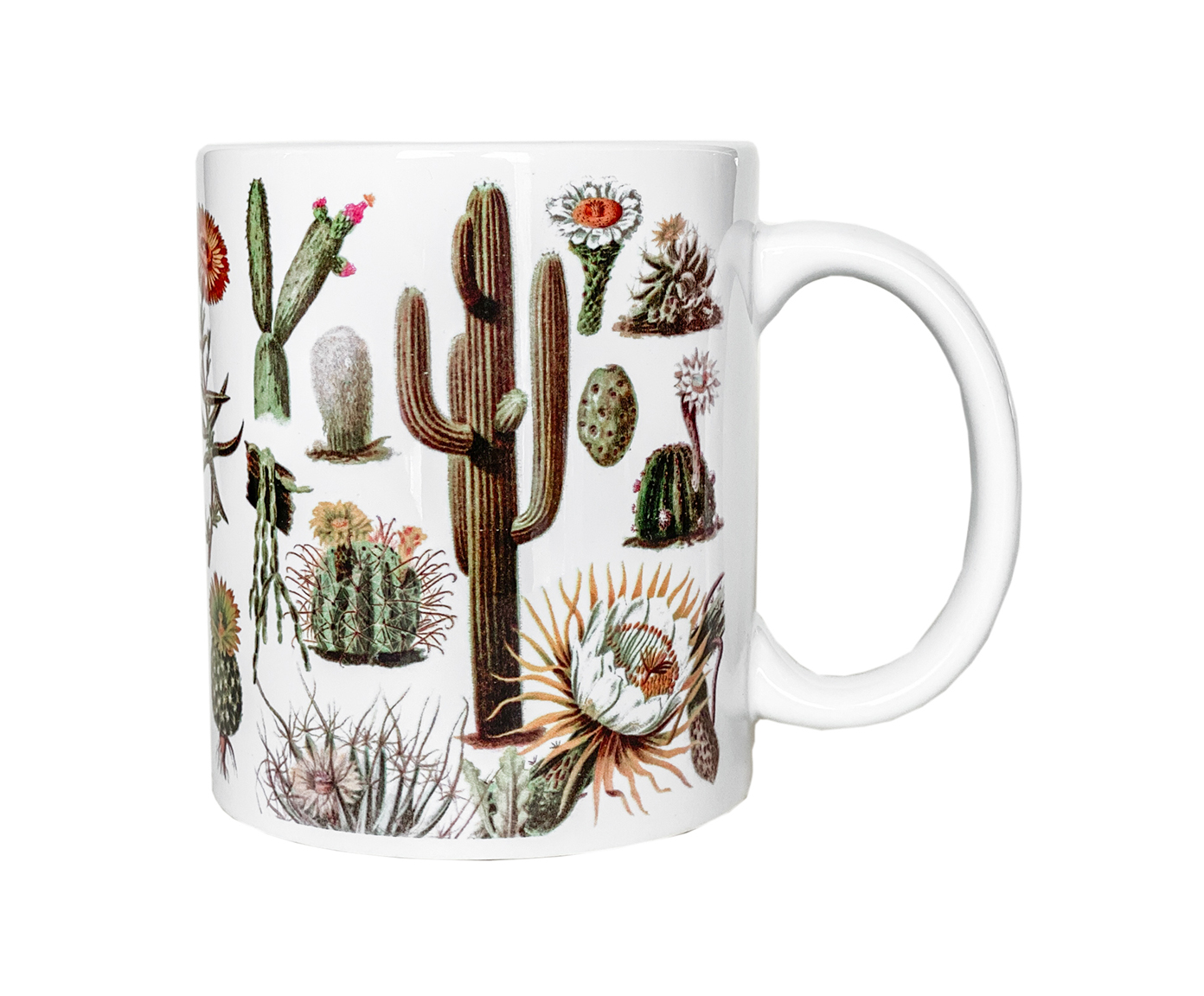 Caneca Cactos - image 0