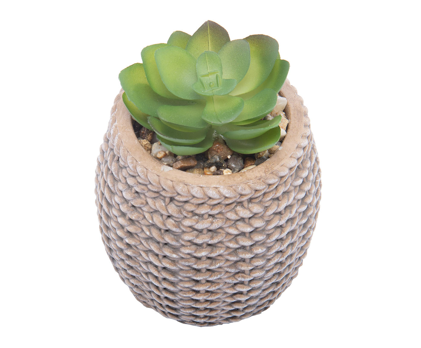 Cachepot Sisal com Suculenta II - image 1