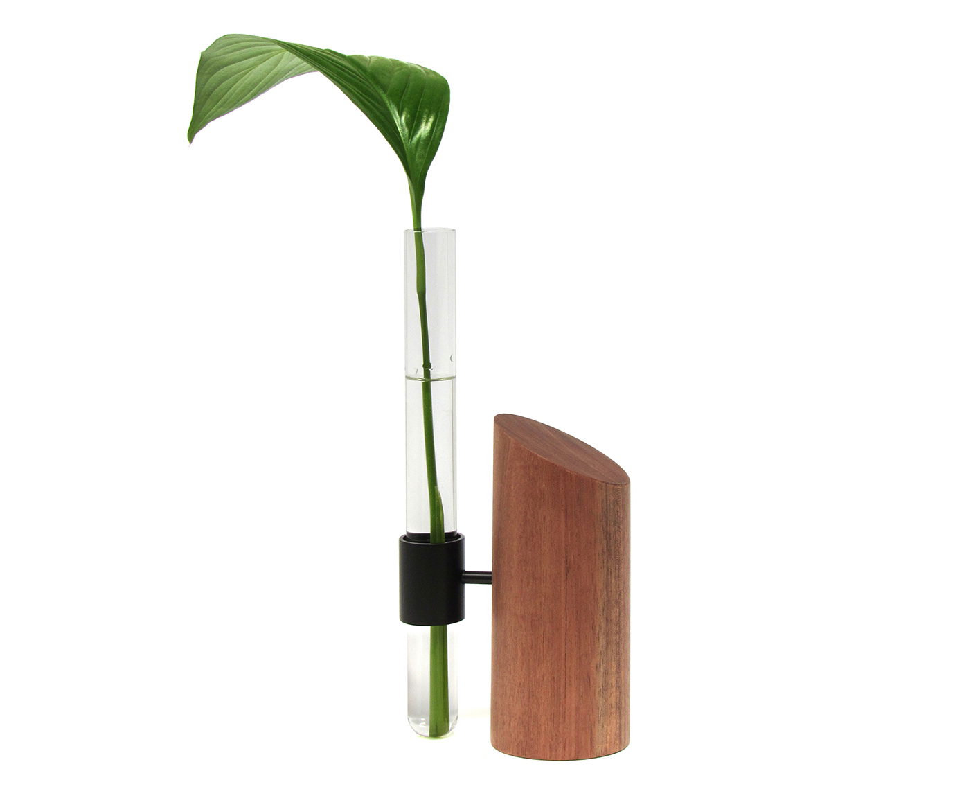 Vaso Leaf Preto - image 0