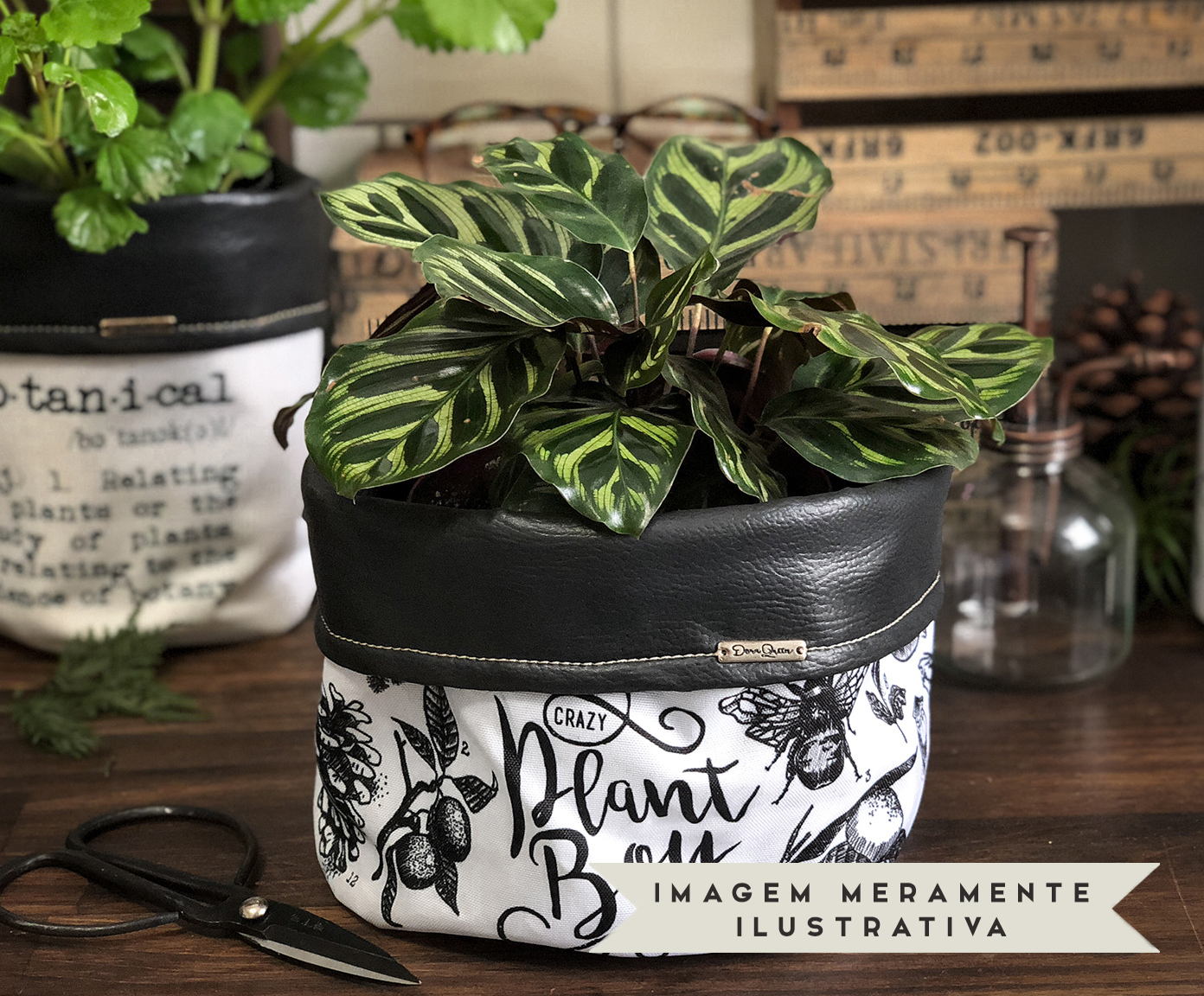 Cachepot Crazy Plant Boy Preto e Branco - image 1