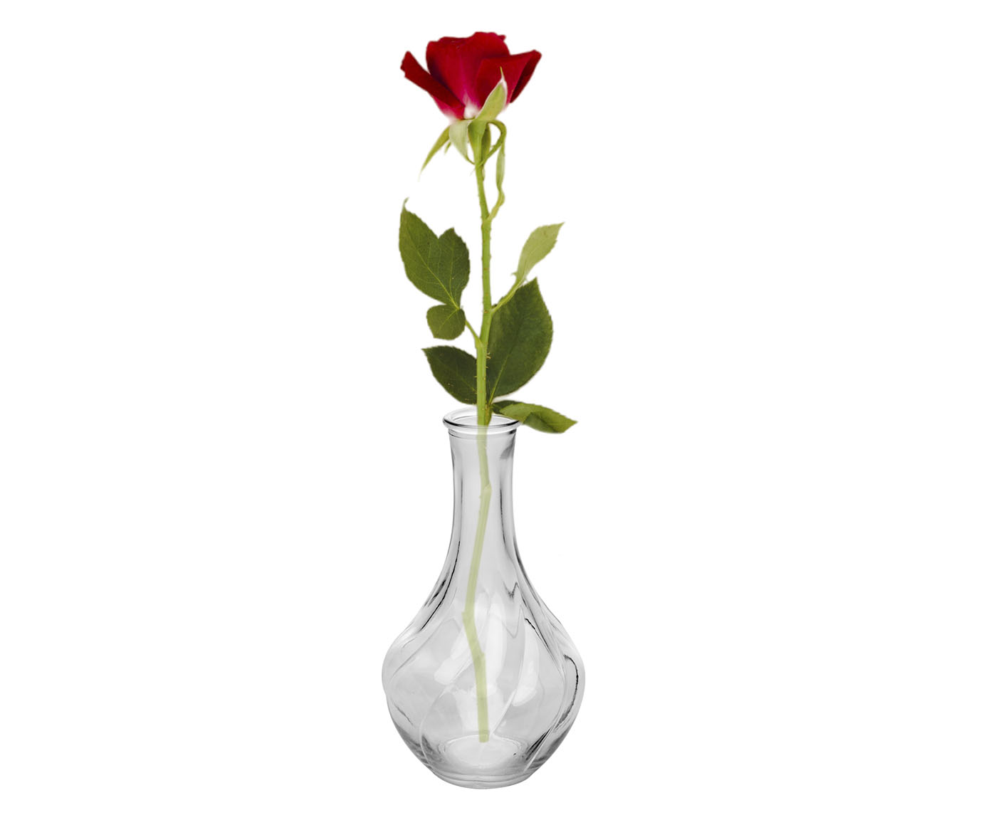 Vaso Pumpkin - image 1