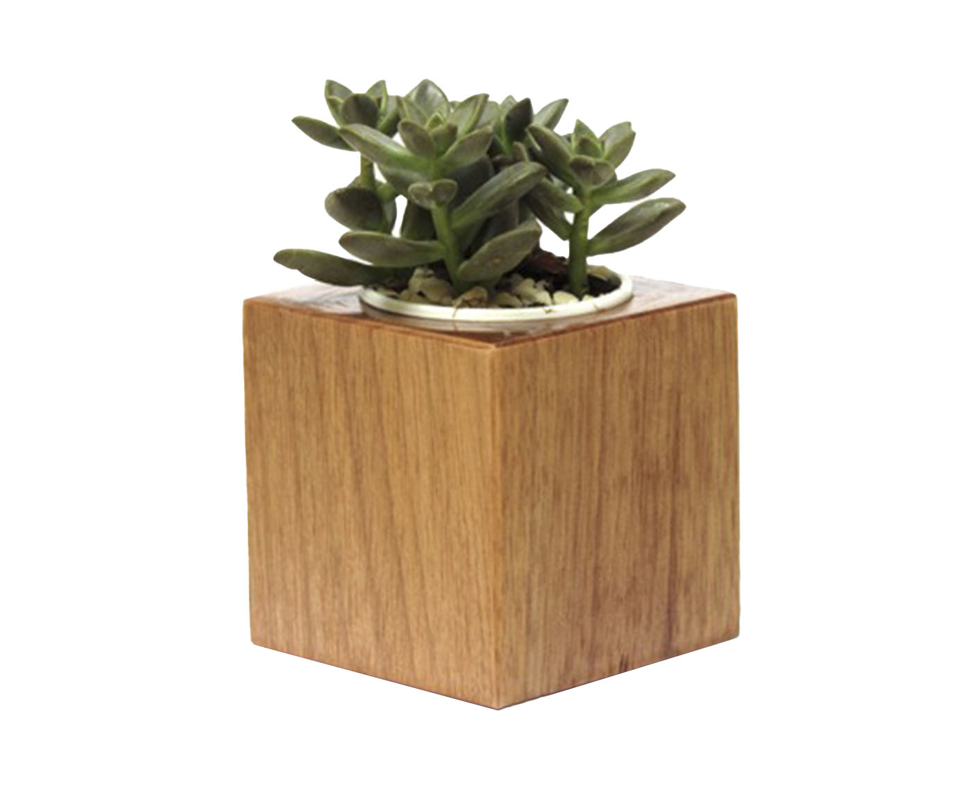 Trio Vaso Cubo - image 0