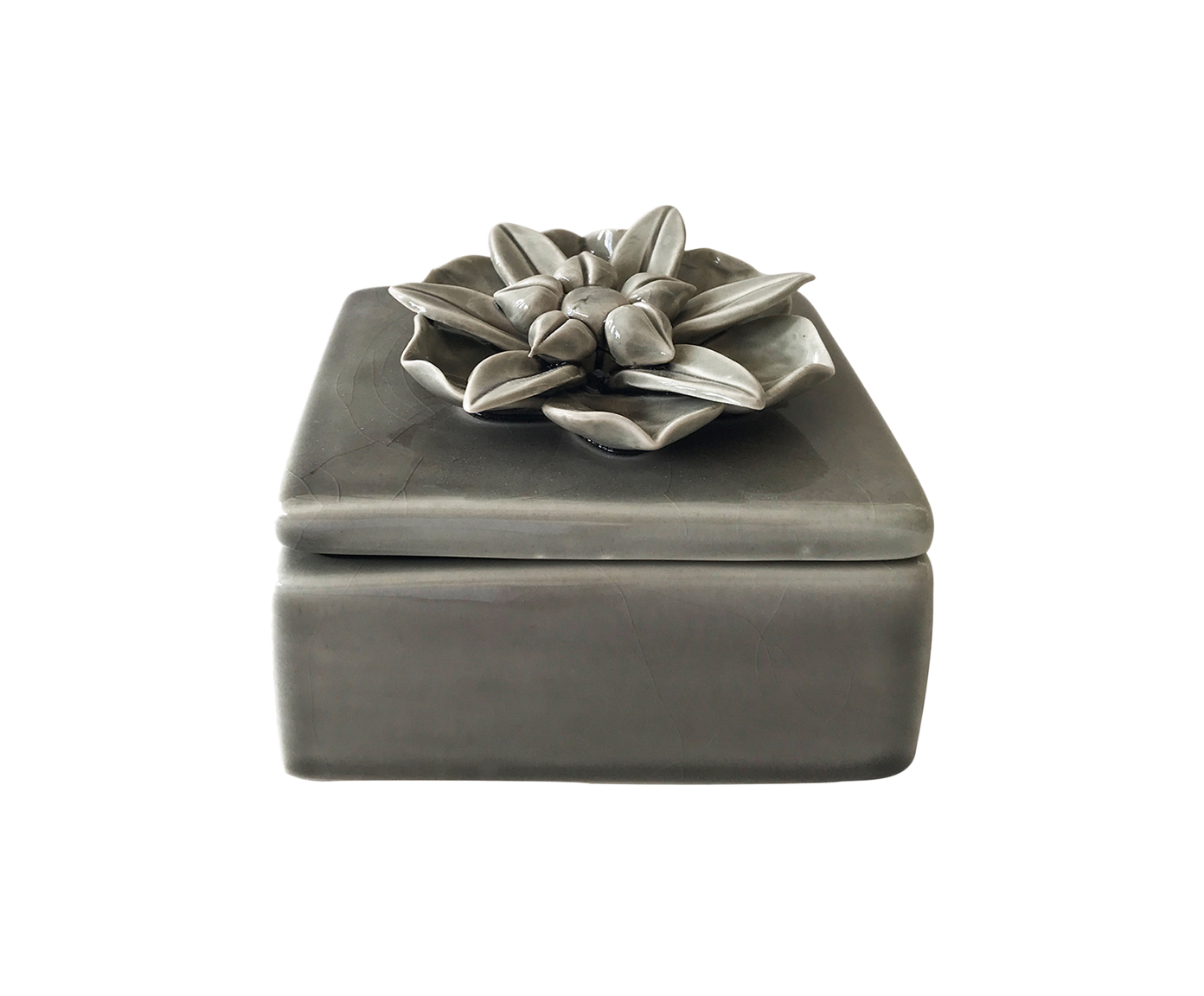 Pote Decorativo Ulmo - image 0