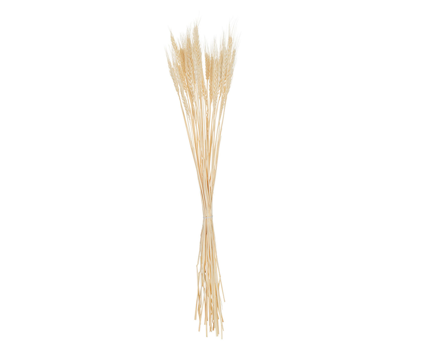 Ramo de Folhas Secas - Cru - image 1