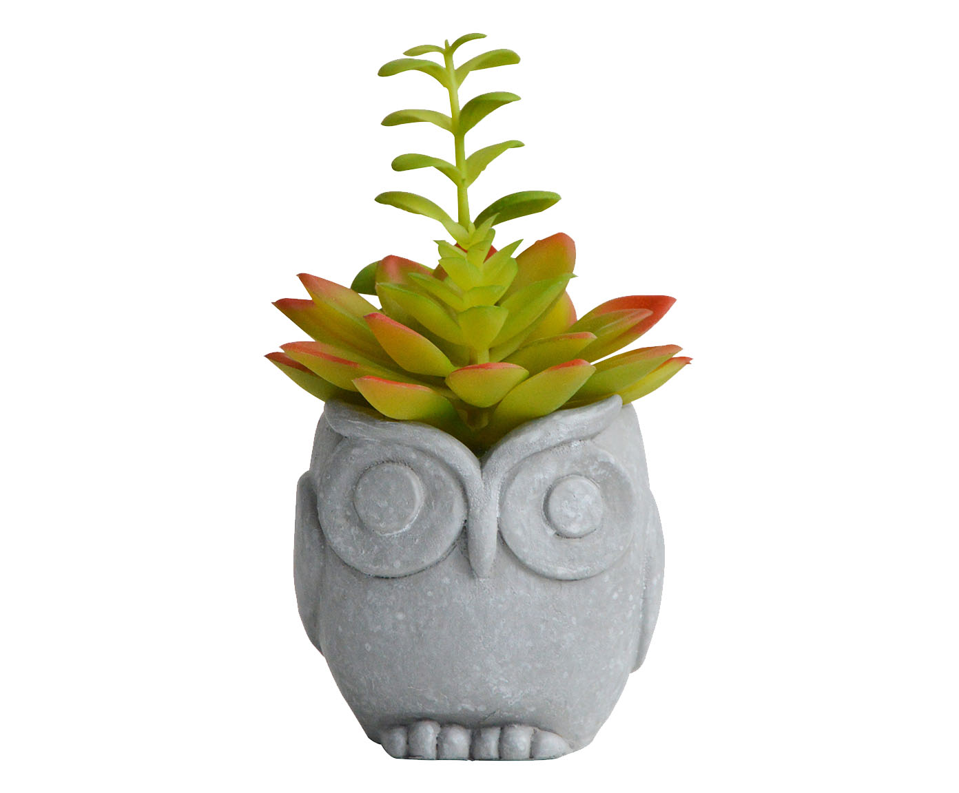 Vaso com Suculenta Uja Cinza - image 0