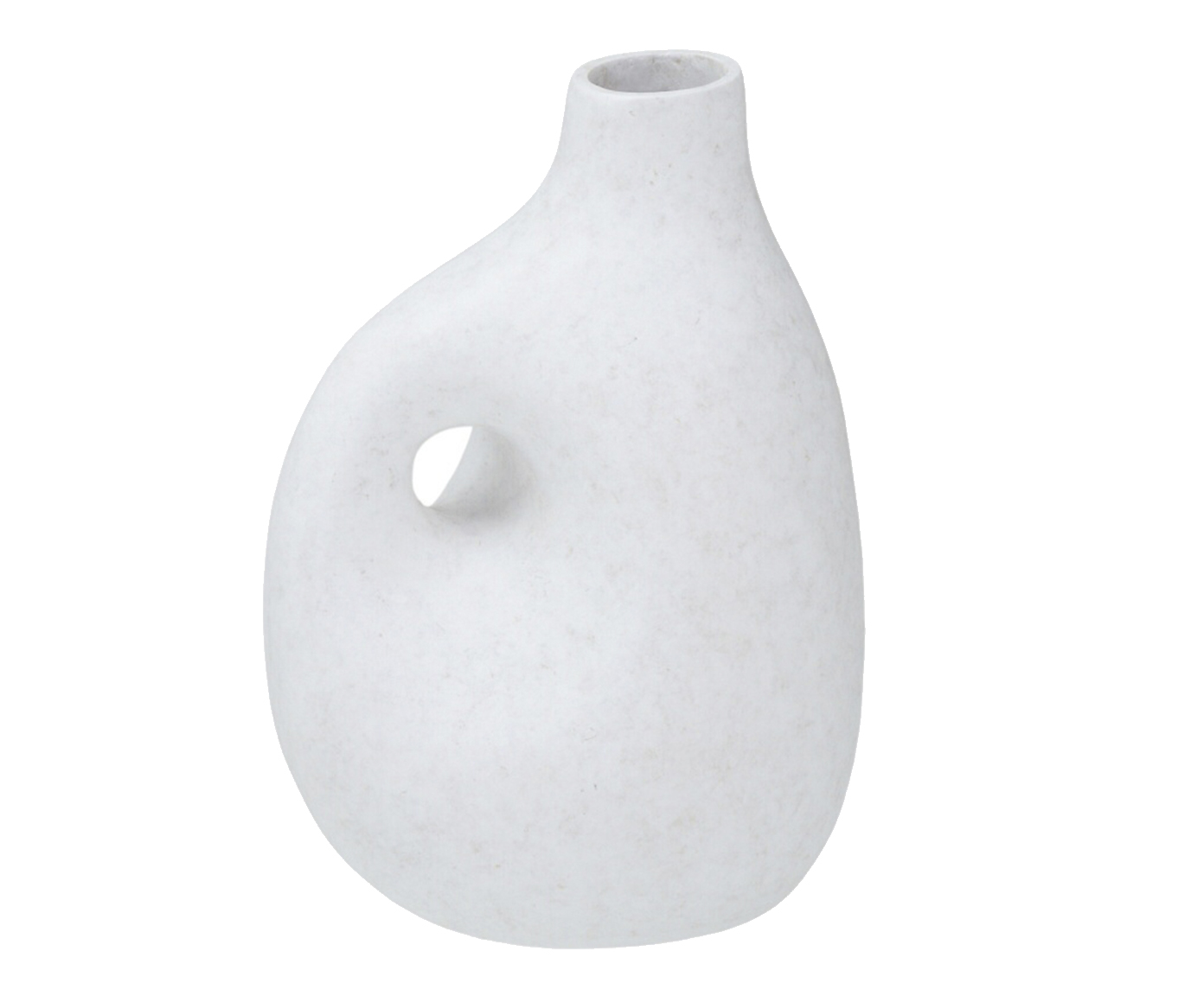 Vaso Decorativo Alcantarea - image 0