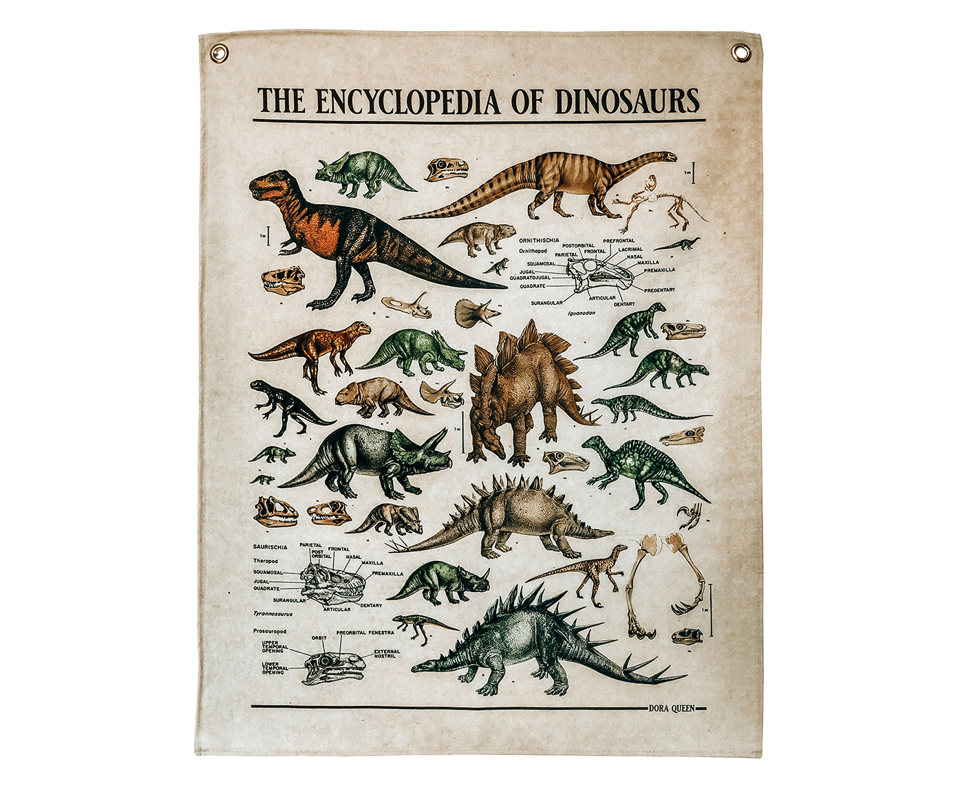 Tecido de Parede Dinossauros - image 0