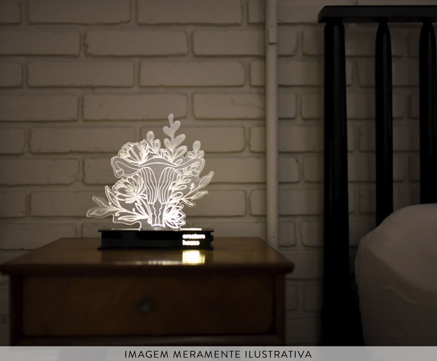 Lumin&aacute;ria &Uacute;tero Transparente - image 1