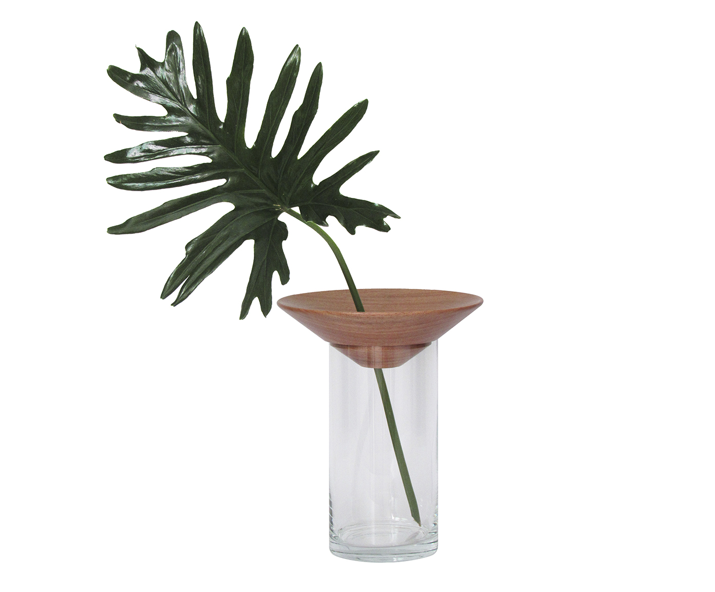 Vaso Grand Baob&aacute; - 16 cm - image 1