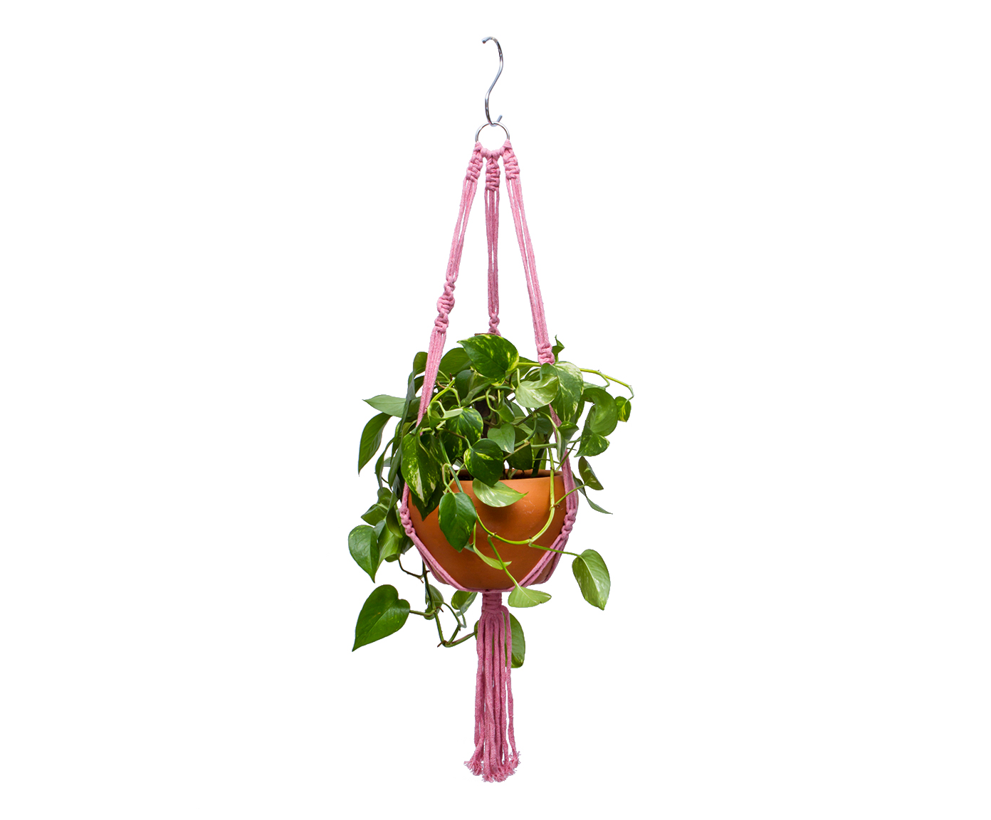 Hanger em Macram&ecirc; Clean Rose - image 0