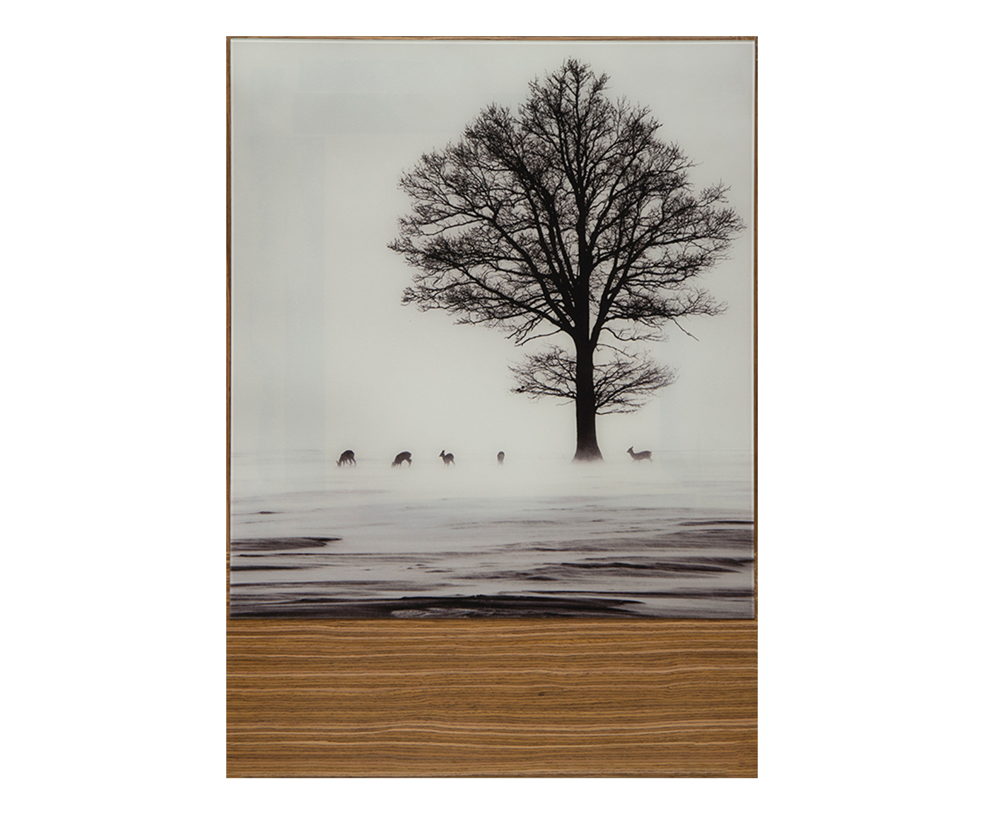 Quadro Yucra - image 0
