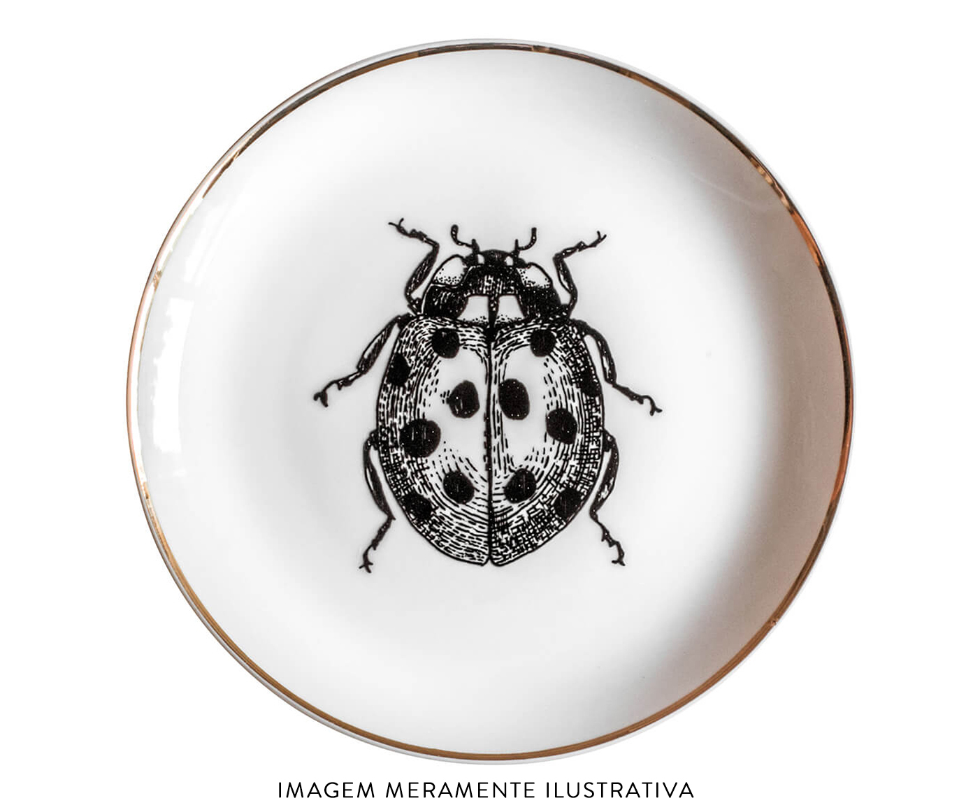 Jogo de Pratos Decorativos em Porcelana Joaninha - image 1
