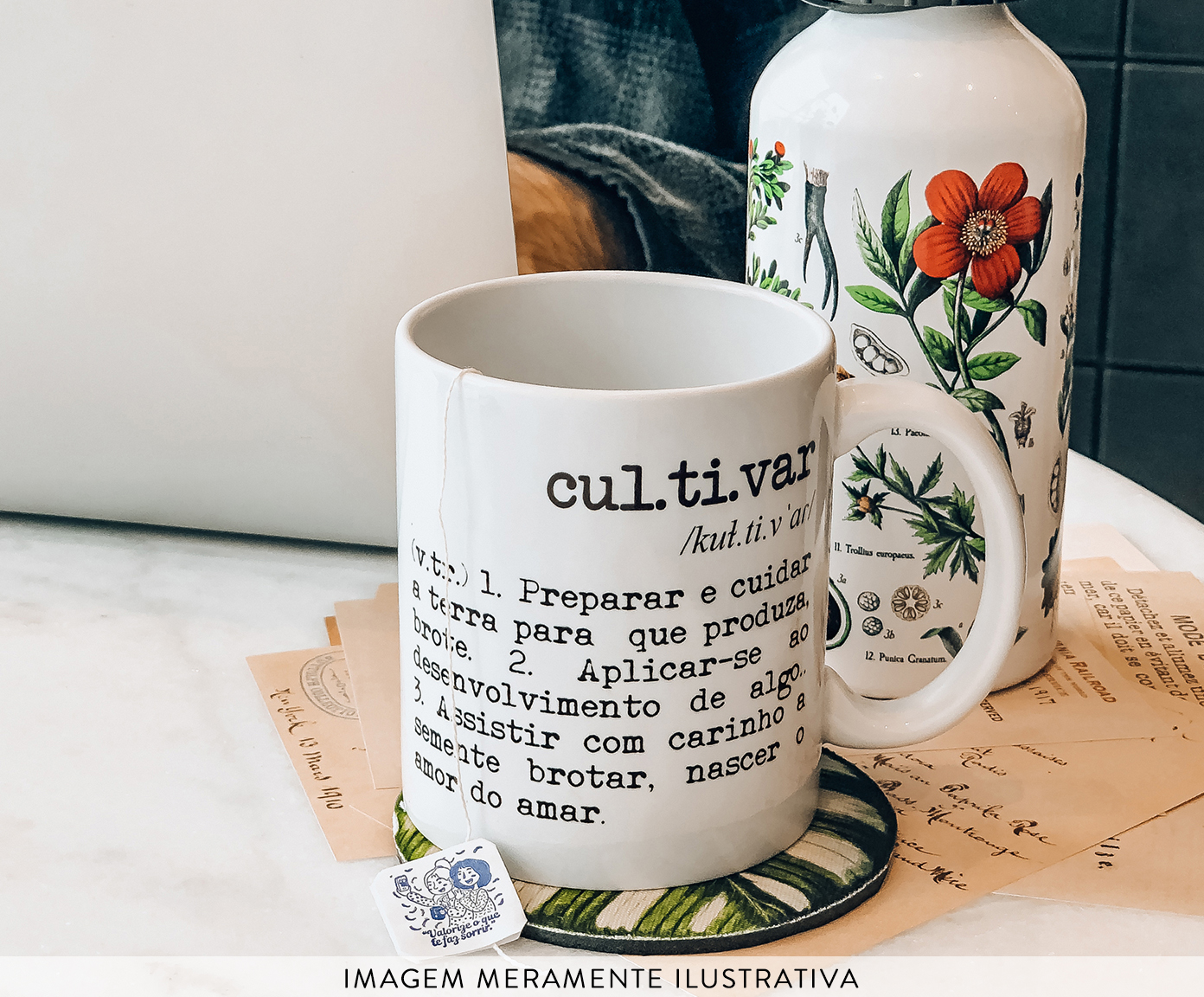 Caneca Cultivar image number 2