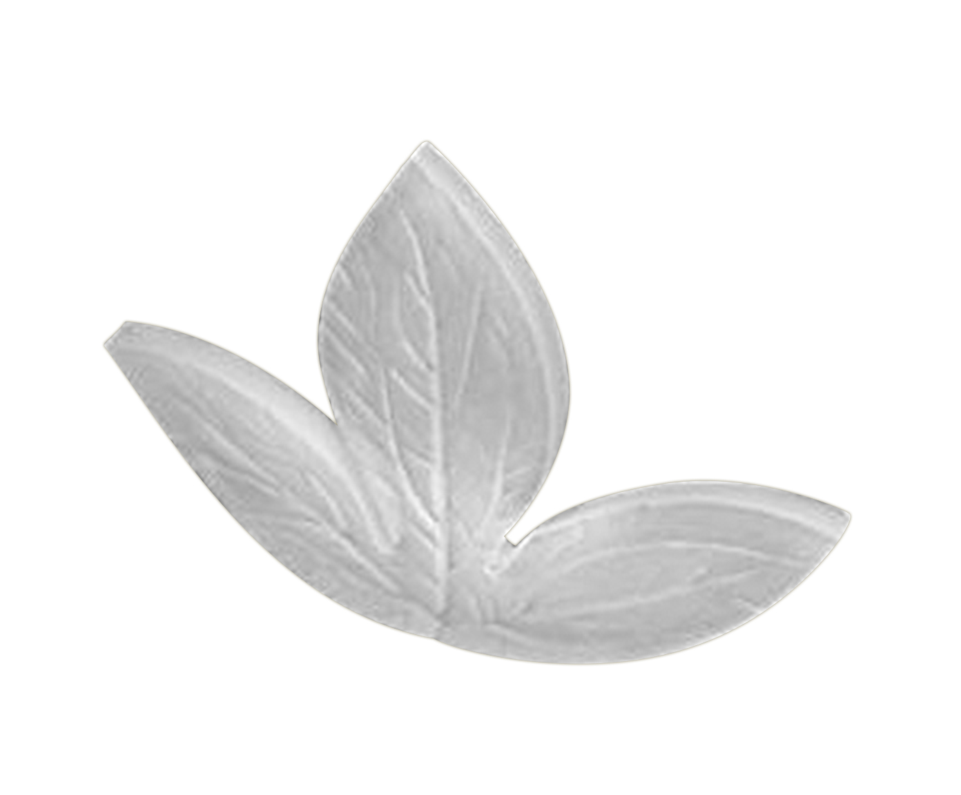 Forma para Chocolate Folha - image 0