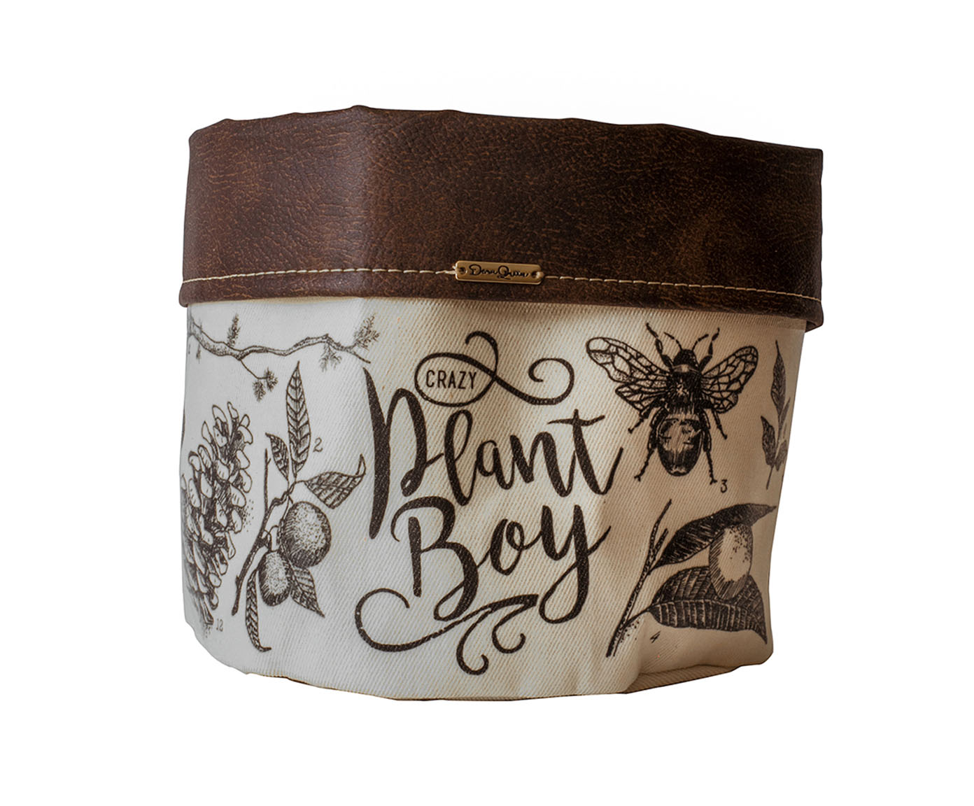 Cachepot Crazy Plant Boy Cru - image 0