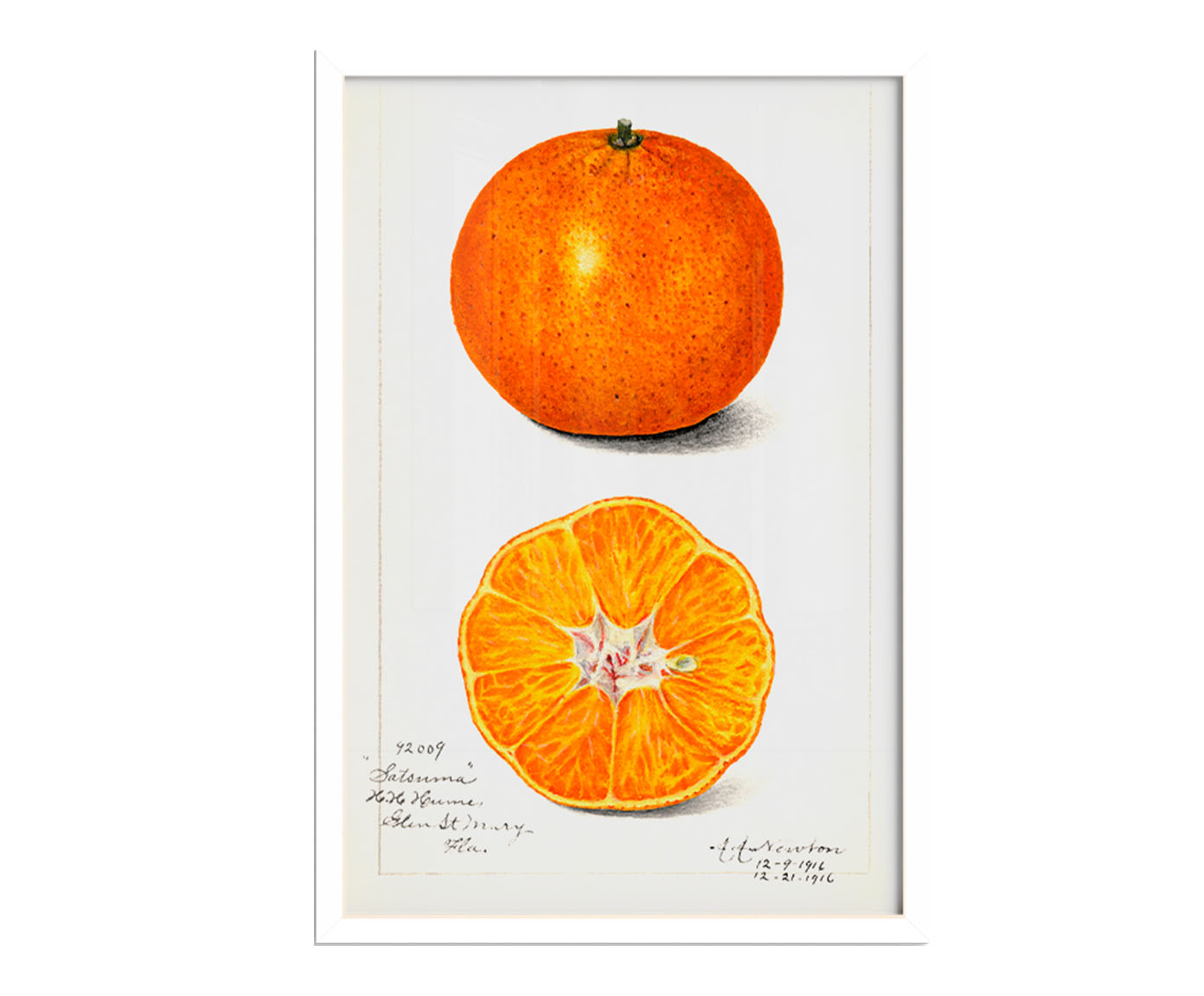 Quadro Laranja Vintage com Moldura Branca - image 1
